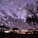 TZA MAR SerengetiNP 2016DEC25 Nguchiro 002 : 2016, 2016 - African Adventures, Africa, Date, December, Eastern, Mara, Month, Nguchiro Camp, Places, Serengeti National Park, Tanzania, Trips, Year